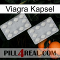 Viagra Capsule 17